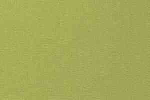 Ковролин Vorwerk Passion 1000/Modena Vorwerk 4d61 фото  | FLOORDEALER