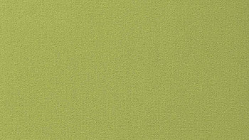 Ковролин Vorwerk Passion 1000/Modena Vorwerk 4d61 фото 1 | FLOORDEALER