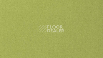 Ковролин Vorwerk Passion 1000/Modena Vorwerk 4d61 фото 1 | FLOORDEALER