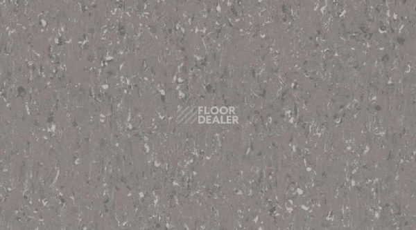 Кварцвиниловые полы Mipolam Cosmo 2638_Pure_Grey фото 1 | FLOORDEALER