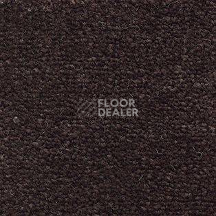 Ковролин AW Souplesse 45 фото 1 | FLOORDEALER