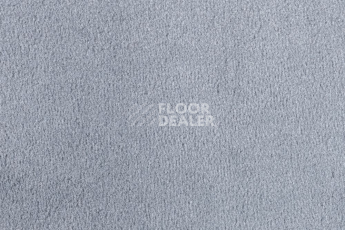 Ковролин Vorwerk Passion 1000/Modena Vorwerk 5b48 фото 1 | FLOORDEALER