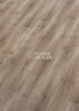 Ламинат Terhurne Classic Line 194мм 1969  Дуб Пастельно - Коричневый  1101021708 фото 1 | FLOORDEALER