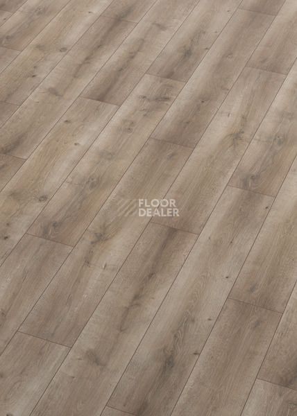 Ламинат Terhurne Classic Line 194мм 1969  Дуб Пастельно - Коричневый  1101021708 фото 1 | FLOORDEALER