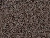 Ковролин SAG San-Marino 4518 фото 1 | FLOORDEALER