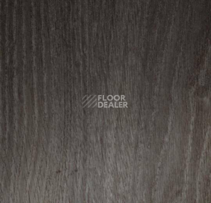 Кварцвиниловые полы Forbo Allura Premium 60237 фото 1 | FLOORDEALER