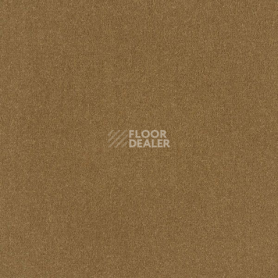 Ковровая плитка Interface Palette 2000 Toffee фото 1 | FLOORDEALER