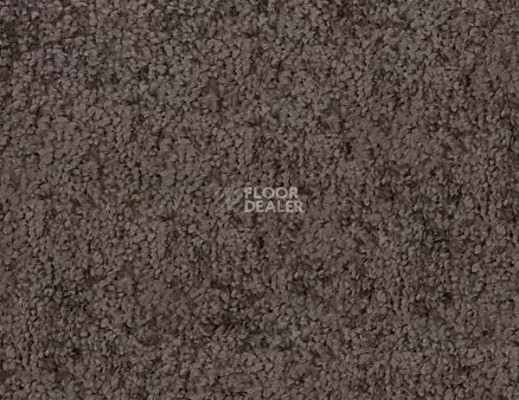 Ковролин SAG San-Marino 4518 фото 1 | FLOORDEALER