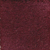 Ковролин Emphatic Beaulieu of America 56847 фото 1 | FLOORDEALER