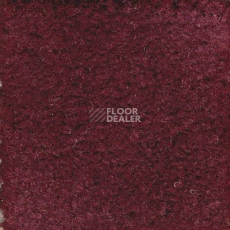 Ковролин Emphatic Beaulieu of America 56847 фото 1 | FLOORDEALER