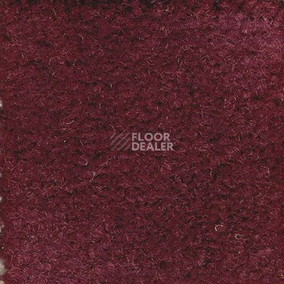 Ковролин Emphatic Beaulieu of America 56847 фото 1 | FLOORDEALER