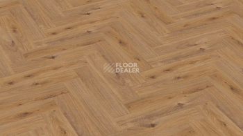Ламинат Terhurne Herringbone Edition 10мм Y06 Дуб Лодочный фото 1 | FLOORDEALER