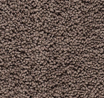 Ковролин Best Wool Pure Palace Lux 189 фото 1 | FLOORDEALER