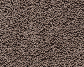 Ковролин Best Wool Pure Palace Lux 189 фото 1 | FLOORDEALER