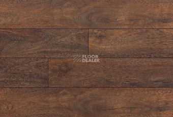 Ламинат My Step Terra Aqua Block MS158AB Дуб Флоренция фото 1 | FLOORDEALER