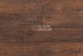 Ламинат My Step Terra Aqua Block MS158AB Дуб Флоренция фото 1 | FLOORDEALER