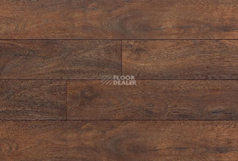 My Step Terra Aqua Block MS158AB Дуб Флоренция фото 1 | FLOORDEALER