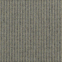 Ковролин Carpet Concept Goi 3 270105 фото 1 | FLOORDEALER