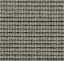 Ковролин Carpet Concept Goi 3 270105 фото 1 | FLOORDEALER