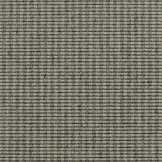 Ковролин Carpet Concept Goi 3 270105 фото 1 | FLOORDEALER