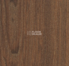 Кварцвиниловые полы Forbo allura flex" material 63663FL1 terra ash (75x15 cm) фото 1 | FLOORDEALER
