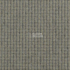 Ковролин Carpet Concept Goi 3 270105 фото 1 | FLOORDEALER