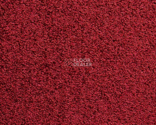 Ковролин Balta ITC Harmony 011 фото 1 | FLOORDEALER