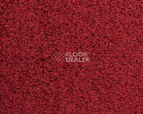 Ковролин Balta ITC Harmony 011 фото 1 | FLOORDEALER