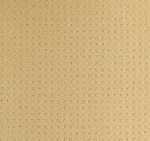 Ковролин Balsan Territoires Atrium 311 фото 1 | FLOORDEALER