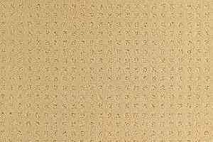 Ковролин Balsan Territoires Atrium 311 фото  | FLOORDEALER