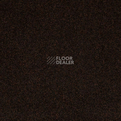 Ковролин Betap Transmit 97 фото 1 | FLOORDEALER