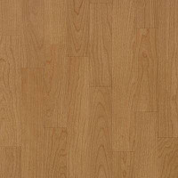 Линолеум Lg Naturelife NLE 5305 фото 1 | FLOORDEALER