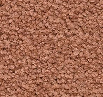 Ковролин Balsan Les First Les First 430 фото 1 | FLOORDEALER