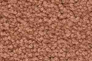 Ковролин Balsan Les First Les First 430 фото  | FLOORDEALER