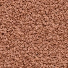 Ковролин Balsan Les First Les First 430 фото 1 | FLOORDEALER