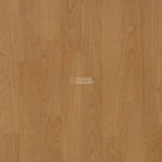 Lg Naturelife NLE 5305 фото 1 | FLOORDEALER