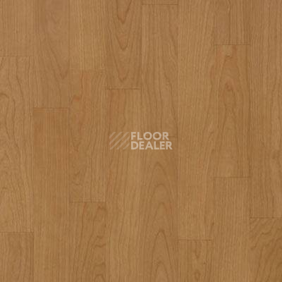 Линолеум Lg Naturelife NLE 5305 фото 1 | FLOORDEALER