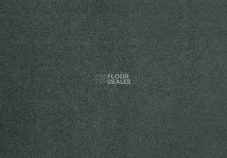 Ковролин Lano Zen 830 фото 1 | FLOORDEALER