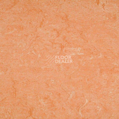 Линолеум Marmorette DLW 2.5mm 121-075 фото 1 | FLOORDEALER