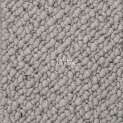 Ковролин Creatuft Titan 3 Light grey фото 1 | FLOORDEALER