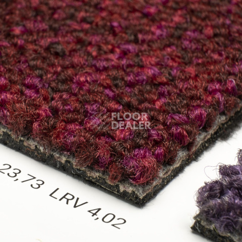 Desso Desert 4118 фото 5 | FLOORDEALER