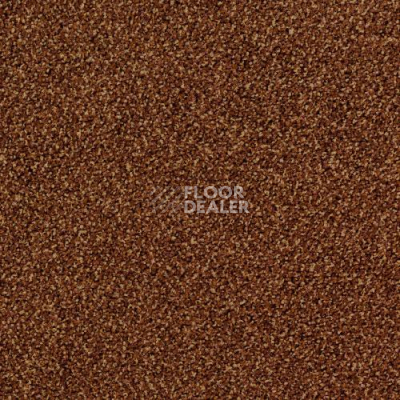 Ковровая плитка Desso Torso 2047 фото 1 | FLOORDEALER
