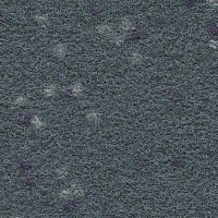 Ковролин Finett Vision Focus 805571 фото 1 | FLOORDEALER