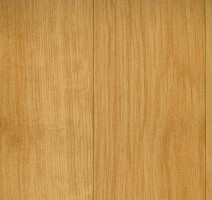 Линолеум Graboflex Gymfit Wood 60 2519-371-279 фото 1 | FLOORDEALER