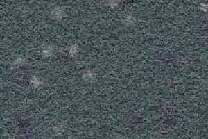 Ковролин Finett Vision Focus 805571 фото  | FLOORDEALER