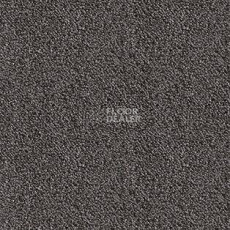 Ковролин AW Energy 99 фото 1 | FLOORDEALER