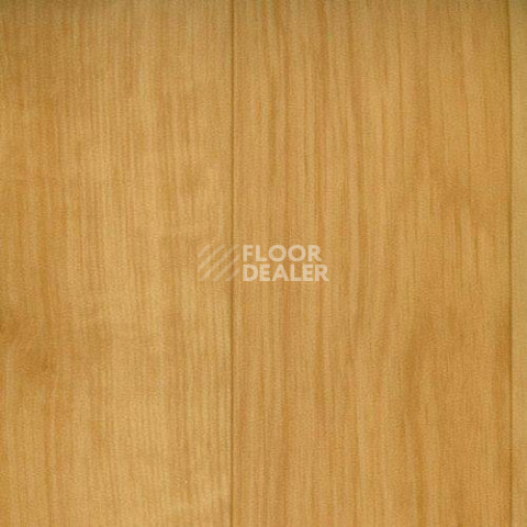 Линолеум Graboflex Gymfit Wood 60 2519-371-279 фото 1 | FLOORDEALER