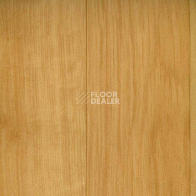 Линолеум Graboflex Gymfit Wood 60 2519-371-279 фото 1 | FLOORDEALER