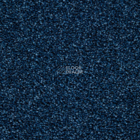 Haima Noble 58 фото 5 | FLOORDEALER