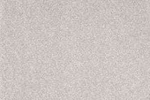 Ковролин AW Sonrisa 90 фото  | FLOORDEALER